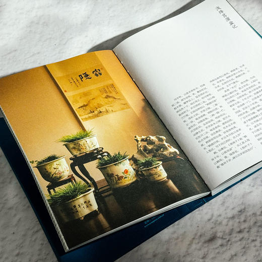 江南记 王飞 轻文言文体 中国传统文化生活 商品图3