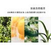 【中欧班列】澳洲进口OLIVIAM澳莉维亚茶树净透控油洗发水/菁萃沐浴乳/精华身体乳/200ml/瓶 商品缩略图8