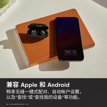 beats Solo Buds 真无线耳机【礼物】 蓝牙耳机  兼容苹果安卓系统  哑光黑 /数码 /影音娱乐 /蓝牙/无线耳机 商品图2