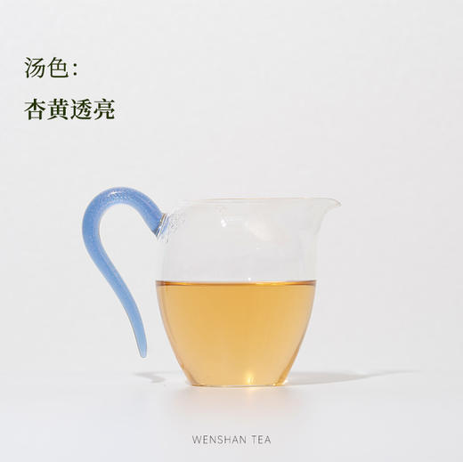 守艺 · 2024年新茶 蒙顶黄芽 50g 四川高山明前春茶 商品图2