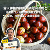 生态鲜枣 | 合作生产* Eco-fresh jujube | Copruduction 商品缩略图0