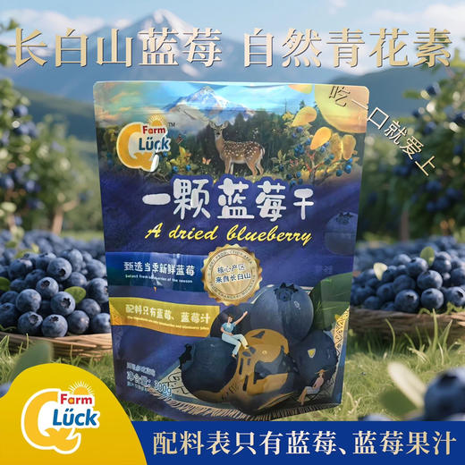 快幸一颗蓝莓干300g 商品图0