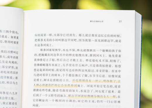 现货《生命如歌：迟子建文集》（全4册）（好时光悄悄溜走、额尔古纳河右岸 、白雪乌鸦、烟火漫卷 ）， 董宇辉力荐，人民日报评选的年度蕞佳，豆瓣评分9.0， 商品图5