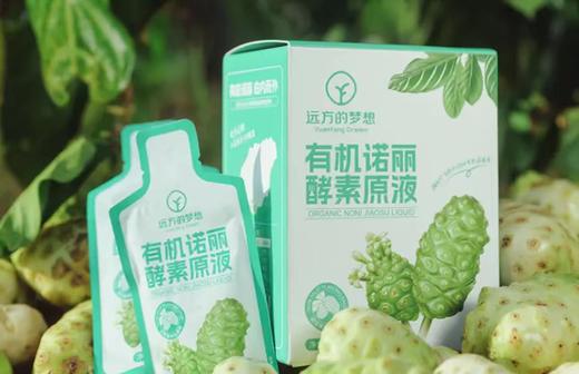 【有机诺丽酵素原液、诺丽蓝莓果饮 】两种口味任选，源自海南岛 配料只有诺丽果 商品图5