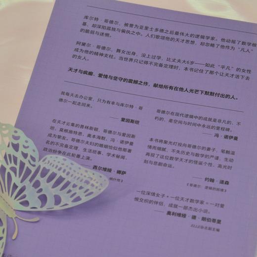 理解哥德尔：数学与爱 天才与疯癫爱情与坚守的震撼之作 献给所有在他人光芒下默默付出的人 商品图4