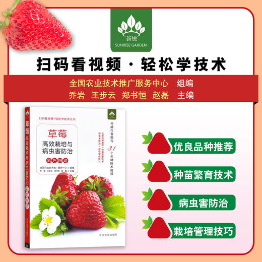 草莓高效栽培与病虫害防治彩色图谱 【官方正版】9787109300521 乔岩 王步云 郑书恒 赵磊 草莓栽培的先进管理经验 商品图0