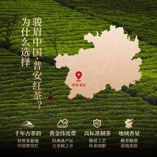正山堂 普安红斓 锦 曦骏眉中国大叶种红茶组合正宗品鉴装试饮集9g 商品图3
