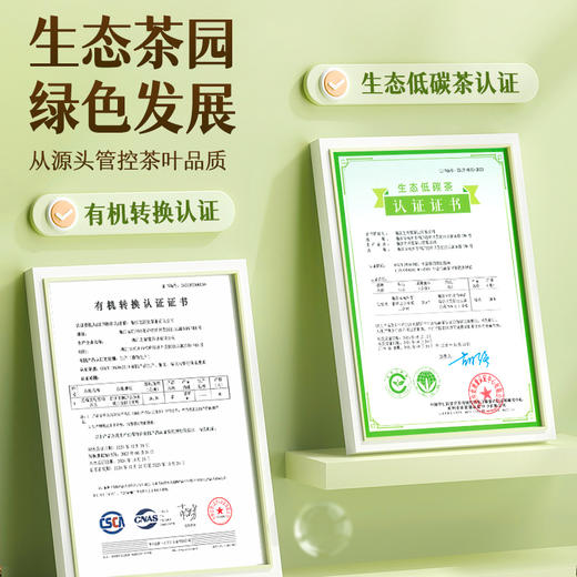 艺福堂桐庐龙井茶250g/包特级 商品图4