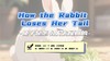 Lesson116：《How the Rabbit Loses Tail》 商品缩略图0