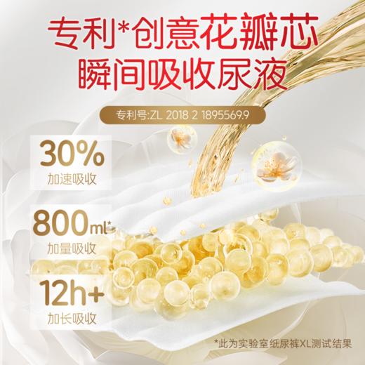 贝因美爱加亲护蚕丝山茶系列学步裤 商品图3