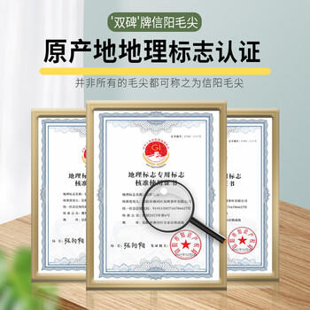 双碑绿茶信阳毛尖250g2026年新茶罐装浓香型春茶自己喝自饮半斤大份量 /水饮冲调 /茗茶 /绿茶 商品图0