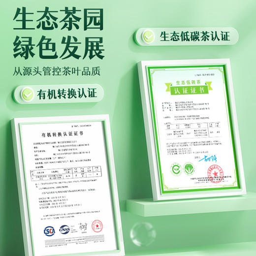 艺福堂桐庐龙井茶250g/包二级 商品图4