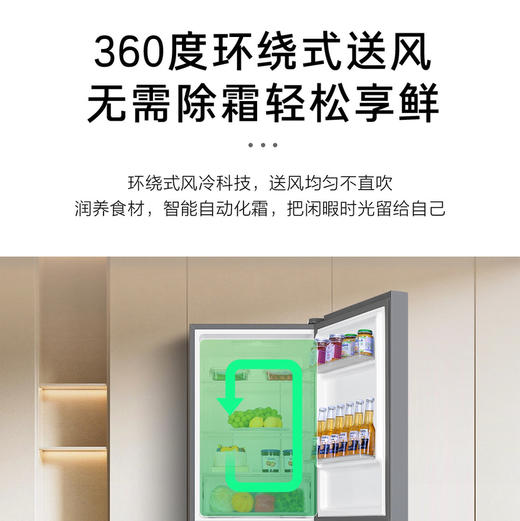 海尔（Haier）冰箱 BCD-202WGHC290S9 商品图7