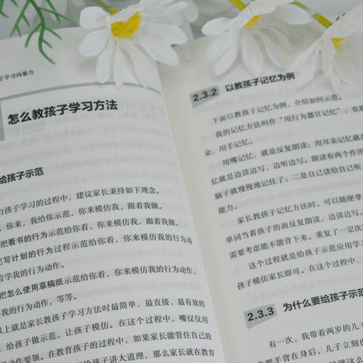 父母觉醒：不吼不叫，激发孩子学习内驱力 家庭辅导手册 辅导孩子考上清华的学习方法实证 有效提高学习成绩 商品图3