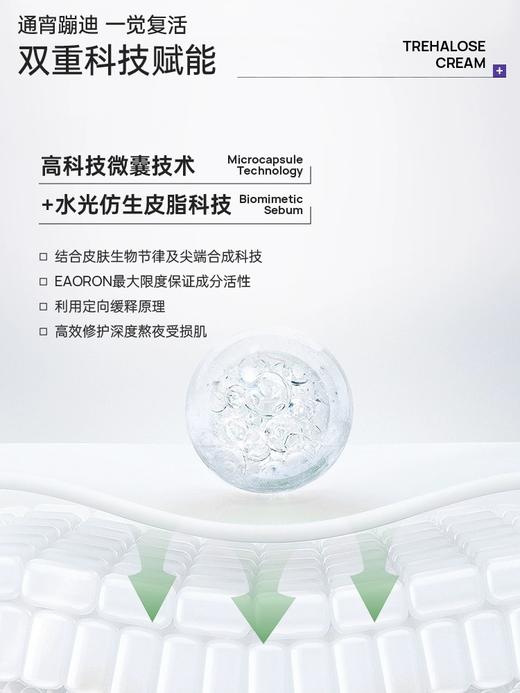 【中欧班列】澳洲原装进口 eaoron澳容海藻糖保湿面霜50ml/瓶 商品图5