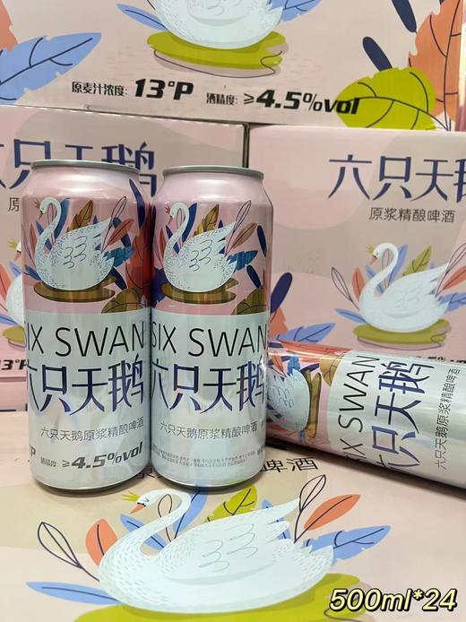 六只天鹅原浆精酿啤酒500ml (1*24)  6975776651586 商品图0