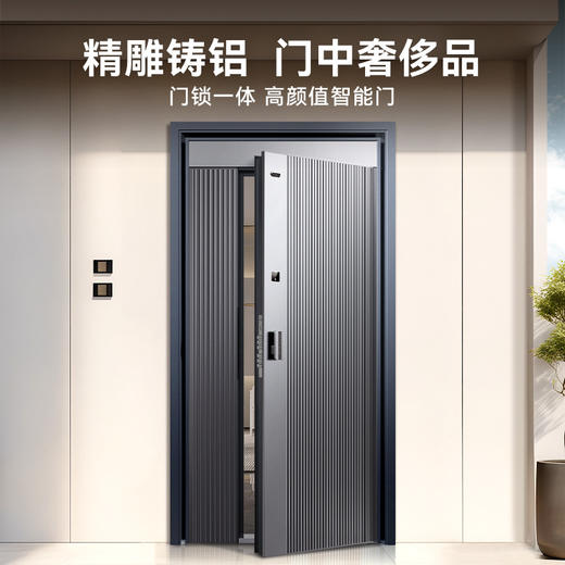 亚太天能精雕铸铝智能门H8一体化全自动AI双摄监控防盗入户门家用进户门子母大门 商品图8