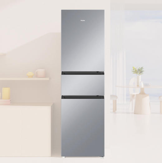 海尔（Haier）冰箱 BCD-218WGHC3R9S9 商品图2