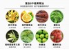 【中欧班列】韩国进口LG安宝迪on香水花香沐浴露500ml/瓶 商品缩略图6