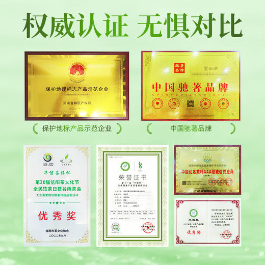 【2025新茶】茶马世家春色满园特级信阳毛尖200g礼盒装 商品图3