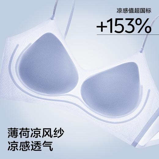 限时活动💥买二送一💰99到手3件❗❗PIER N°5 草本初色【草本初色 山茶花香氛冰肌内衣（细闪）5101款】首款山茶花精萃柔润科技山茶花奢护精华内衣 商品图3