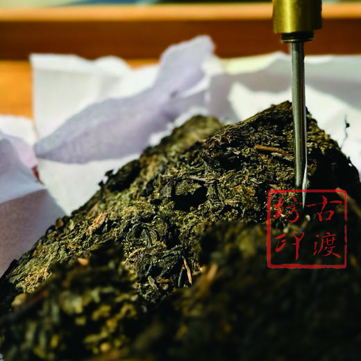 手筑泾阳茯茶（小茯）200g 商品图3