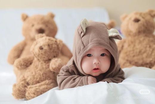 Jellycat小熊公仔，英国Jellycat巴塞罗熊毛绒玩具安抚玩偶小熊公仔泰迪熊   0824返团 商品图5