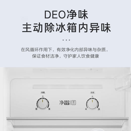 海尔（Haier）冰箱 BCD-172WGHC2E9S9 商品图3