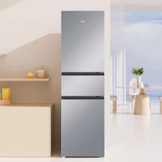 海尔（Haier）冰箱 BCD-217WGHC3E9S9 商品图2