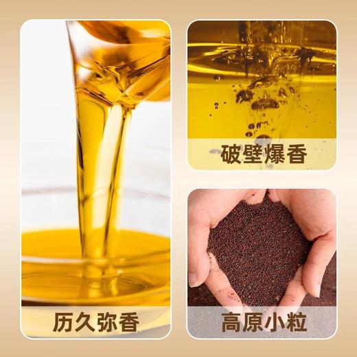 长安花小榨浓香菜籽油5L 商品图1
