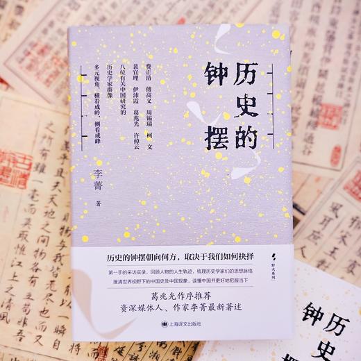 历史的钟摆 野火系列 李菁 著 葛兆光作序推荐 第一手采访实录 八位历史学家群像 读懂中国 费正清 傅高义 上海译文出版社 正版 商品图7