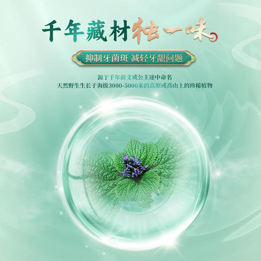 【限时赠送牙刷】独一味牙膏家庭装大套餐 口腔护理清洁用品 6支装 商品图5