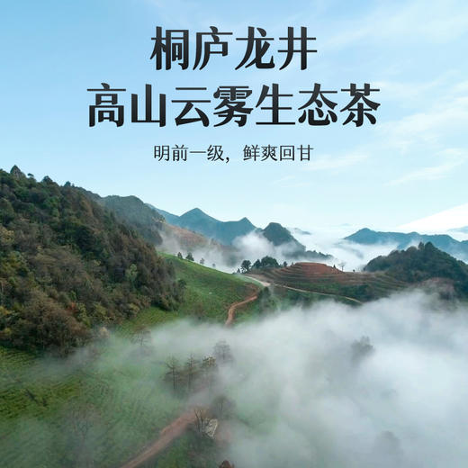 艺福堂桐庐龙井茶250g/包一级 商品图3