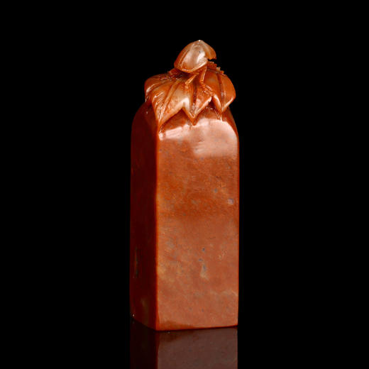 孤品017124-老挝石昆虫钮方章-2.2*2.2*7.4cm 商品图0