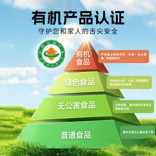 拓东有机0添加鲜酱油 高原古菌种发酵 酿造生抽酱油家用调味 商品图2