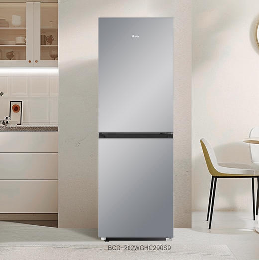 海尔（Haier）冰箱 BCD-202WGHC290S9 商品图1