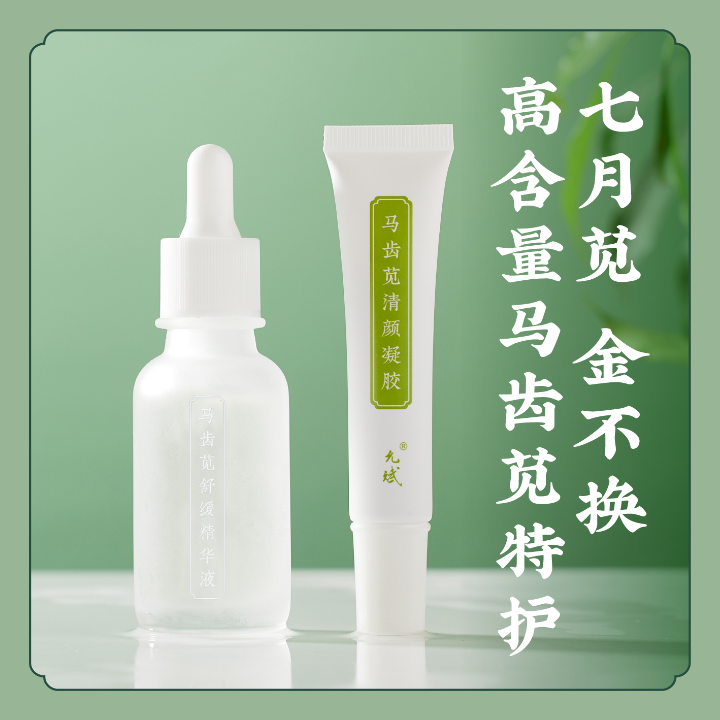 无油配方【马齿苋清颜舒缓组合】马齿苋精华液/清颜凝胶 护肤 小分子玻尿酸 细腻光洁