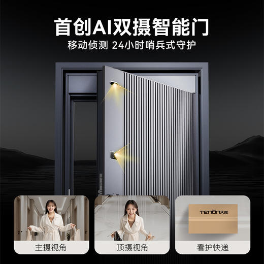 亚太天能精雕铸铝智能门H8一体化全自动AI双摄监控防盗入户门家用进户门子母大门 商品图1