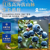 快幸一颗蓝莓干300g 商品缩略图4
