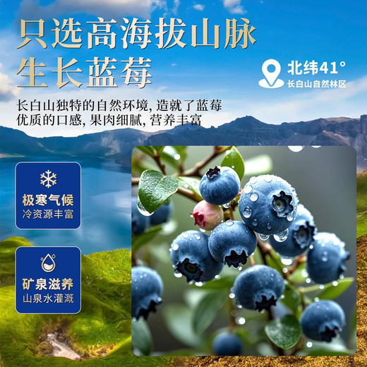 快幸一颗蓝莓干300g 商品图4