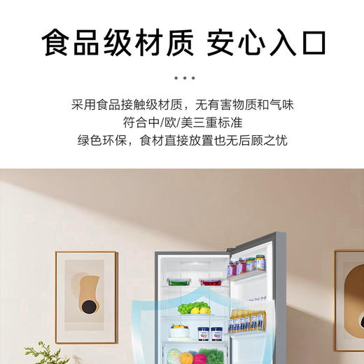 海尔（Haier）冰箱 BCD-202WGHC290S9 商品图8