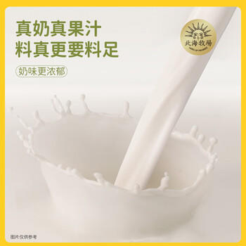 北海牧场 哈密瓜果汁牛奶200ml*10盒 真果汁真牛乳营养早餐奶饮料礼盒装 /水饮冲调 /常温奶 /风味奶 商品图0