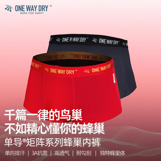 单导矩阵蜂巢内裤单向速干透气男平角底裤抗菌舒适耐勾刮排汗打底 商品图0