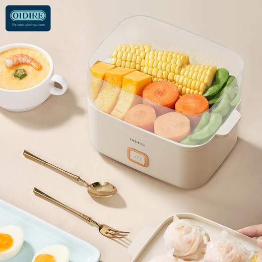 德国OIDIRE早餐机/煮蛋器/电蒸锅ODI-ZCJ1【LXGWZQ1.0】 商品图4