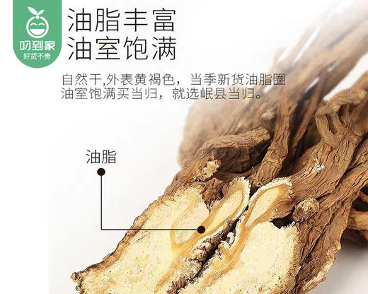 甘肃岷县整株无硫当归/1包（200g±20g）生产日期：25年12月 商品图1