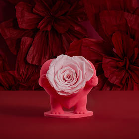 【心动礼物】ROSEONLY诺誓 永生玫瑰 心动系列 萌萌心 粉色 送朋友 情人节礼物