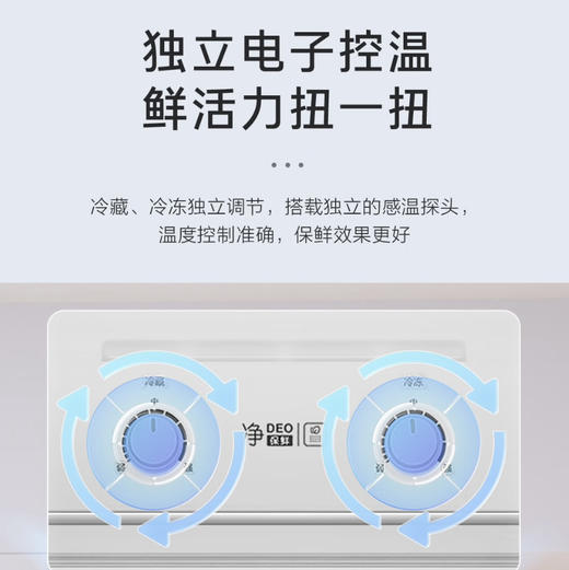 海尔（Haier）冰箱 BCD-172WGHC2E9S9 商品图10