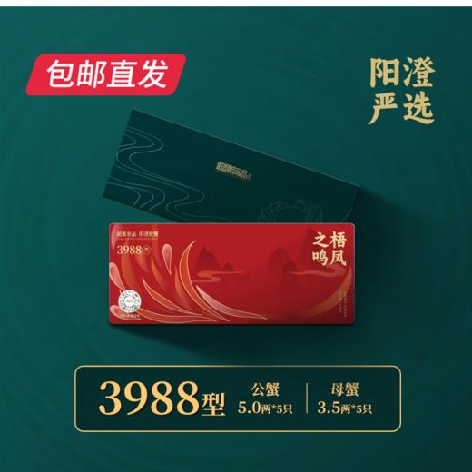 超集有品阳澄湖大闸蟹礼品卡券  多规格任选【包邮直发】 商品图7