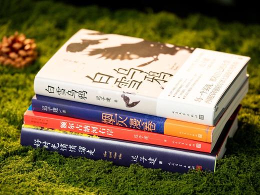 现货《生命如歌：迟子建文集》（全4册）（好时光悄悄溜走、额尔古纳河右岸 、白雪乌鸦、烟火漫卷 ）， 董宇辉力荐，人民日报评选的年度蕞佳，豆瓣评分9.0， 商品图2