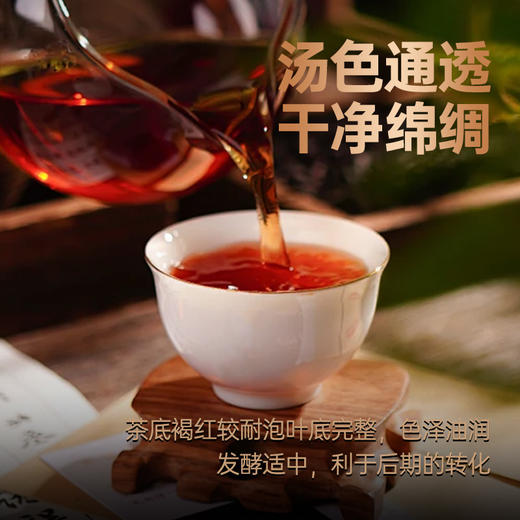 尚礼村2020年老班章经典普洱熟茶357g 商品图2